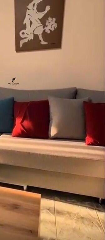 APARTMENT FOR RENT 1+1 BAJRAM CURRI BOULEVARD 32,000 LEKE