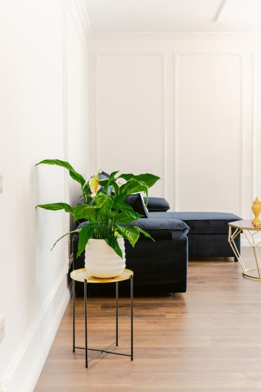 🏡 Super Appartamento 1+1 in Affitto – Astir (vicino a Villa L)!