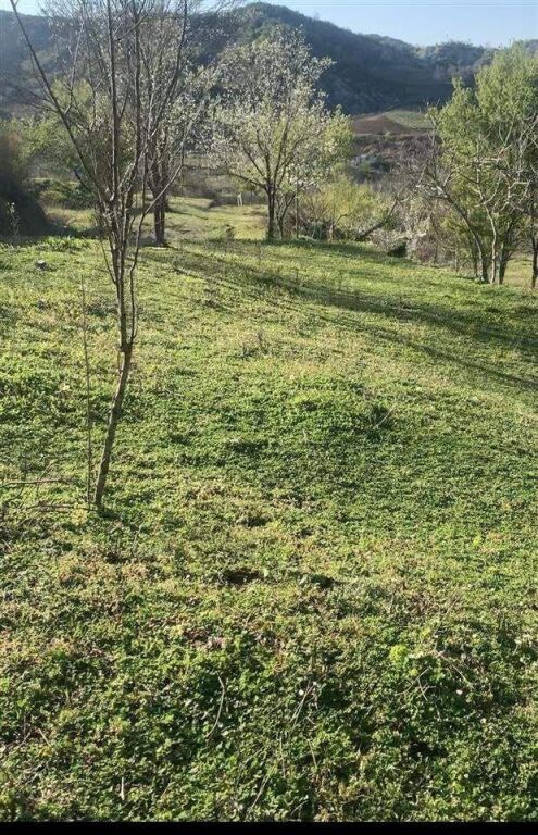 SHITET TOKE DHE NJS SHTEPI E VJETER GURI  NE BALDUSHK