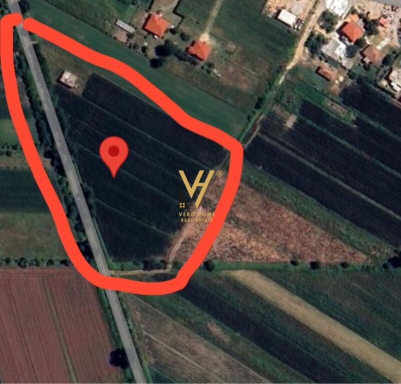 SHITET TOKE 8.600 M2 NE THUMANE 360.000 EURO