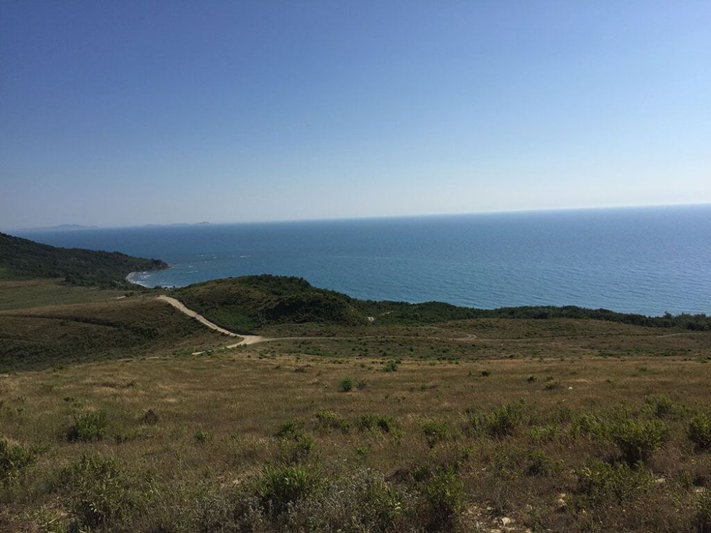 TOKE ME PAMJE, KEPI I RODONIT