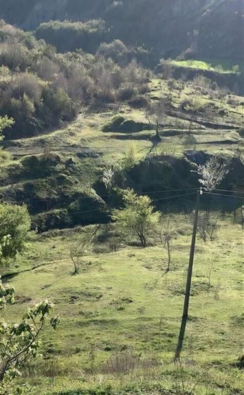 SHITET TOKE DHE NJS SHTEPI E VJETER GURI  NE BALDUSHK