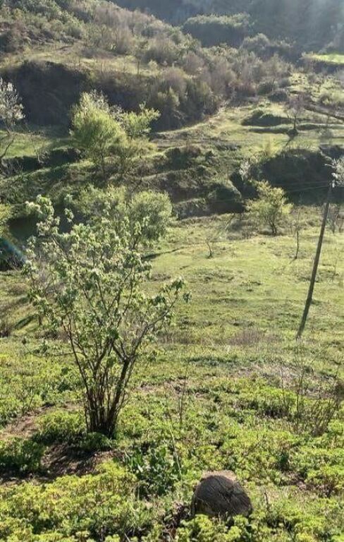 SHITET TOKE DHE NJS SHTEPI E VJETER GURI  NE BALDUSHK