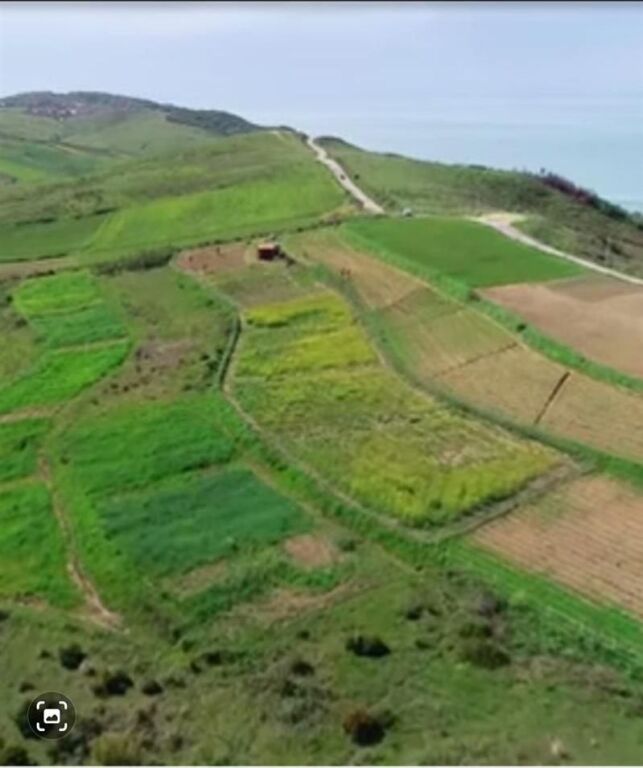 TOKE ME PAMJE, KEPI I RODONIT