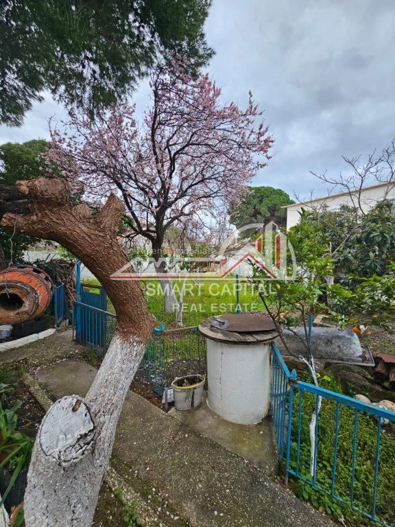 SHITET TRUALL  SHTËPI PRIVATE NË PLAZHIN E VJETËR, VLORË