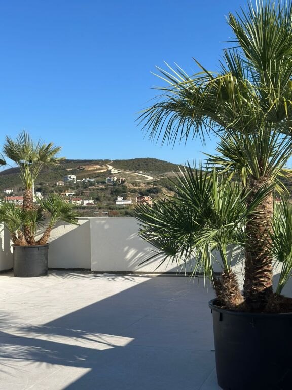 Spille plazh ,Orange Privè luxury villas,rezidence me 6 vila ,600 m nga deti