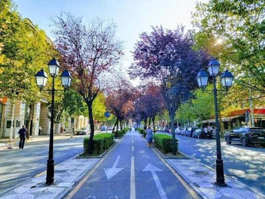 Villa in Affitto in Via Kavaja