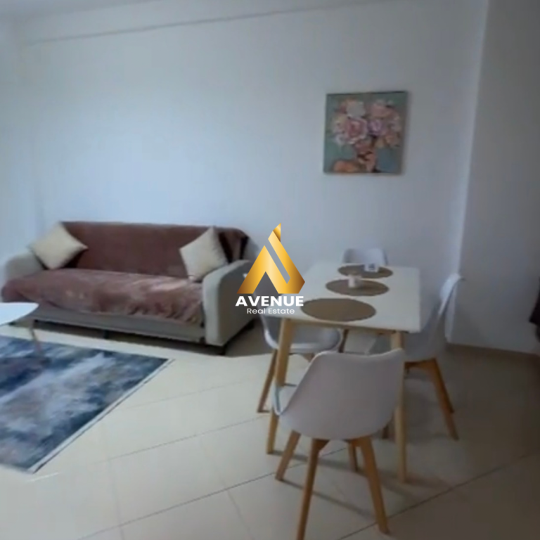 AFFITTASI APPARTAMENTO 1+1, QUARTIERE PARIGI, TIRANA