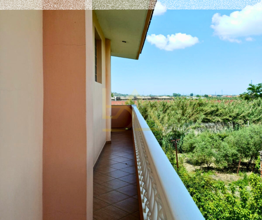 Shitet Vilë – Fier, Kryengritje e Fierit