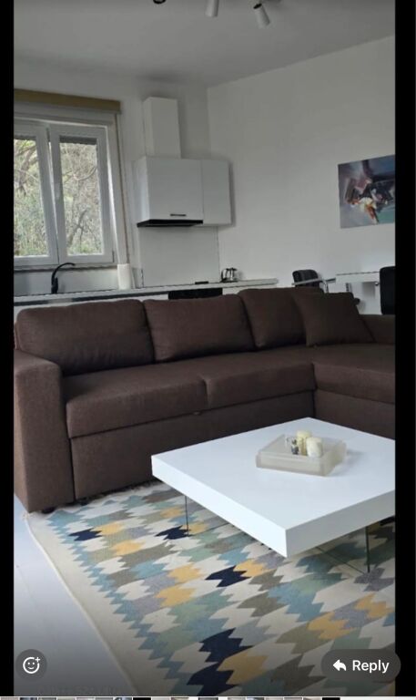 1+1, arredato, con parcheggio, vicino alla moschea e al giardino botanico, 550 euro