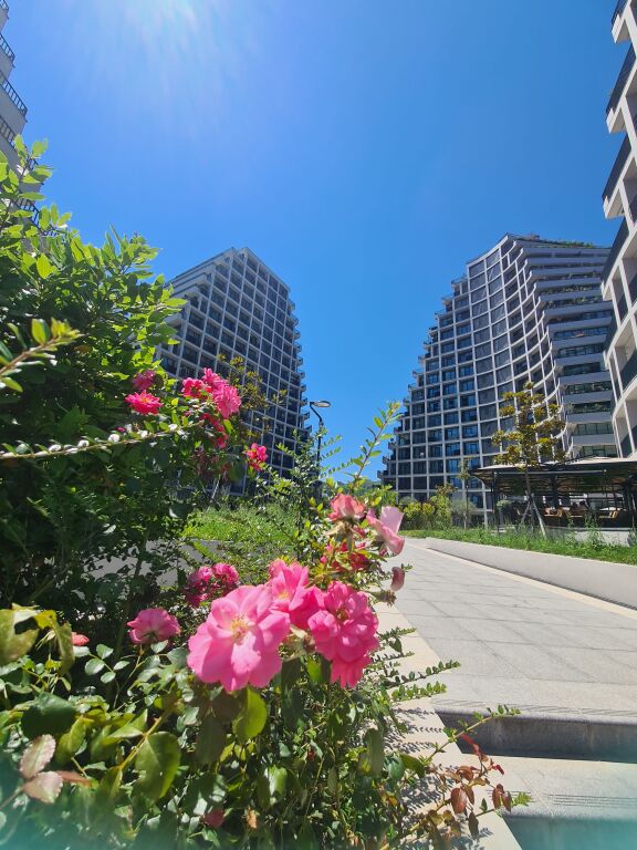 AMBIENT PER ZYRA, LAKE VIEW