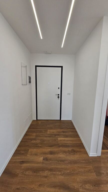 AMBIENT PER ZYRA, LAKE VIEW