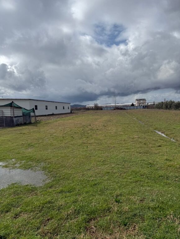 Land for Sale in Tapizë