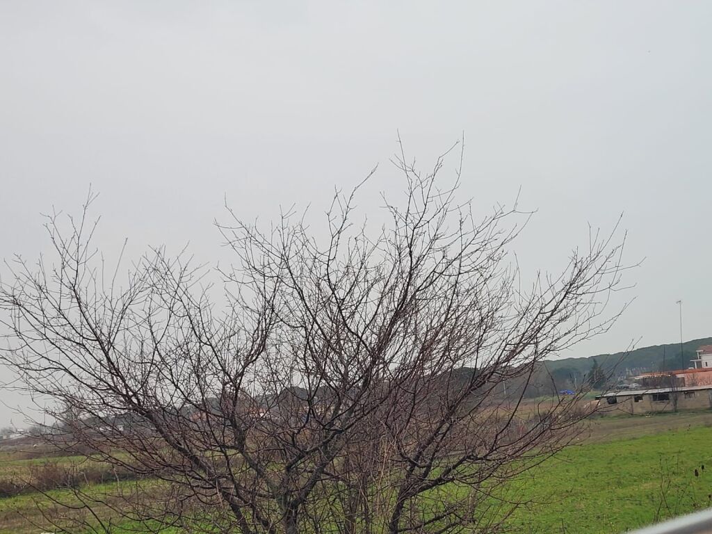 🌿 Land for sale in Lalzi Bay – Very good investment opportunity!