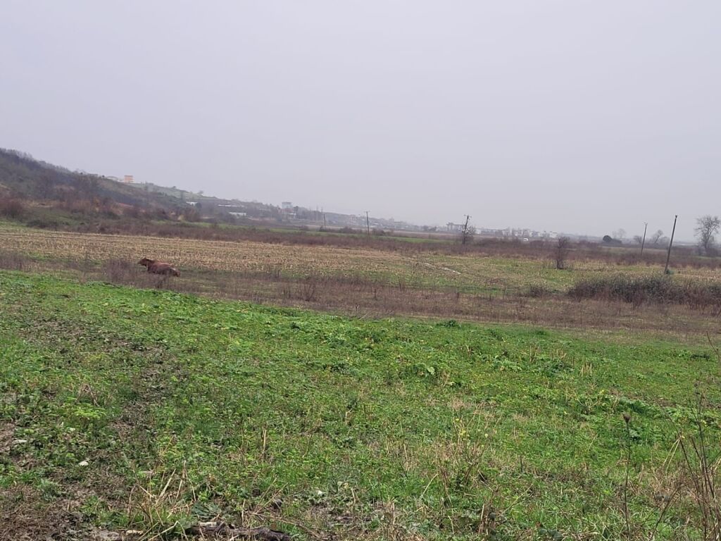 🌿 Land for sale in Lalzi Bay – Very good investment opportunity!