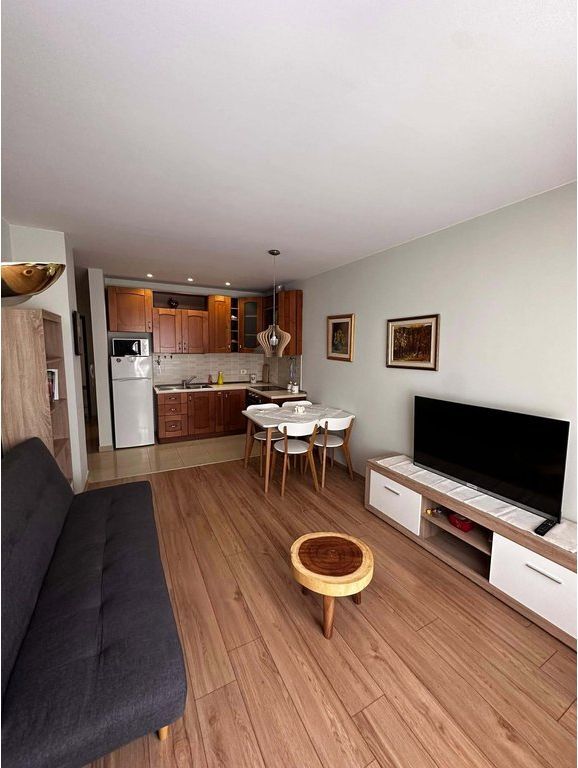 APPARTAMENTO 1+1 IN AFFITTO IN VIA BOGDANEVE