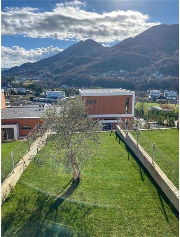 VILE 3-kateshe PER QIRA NE MULLET