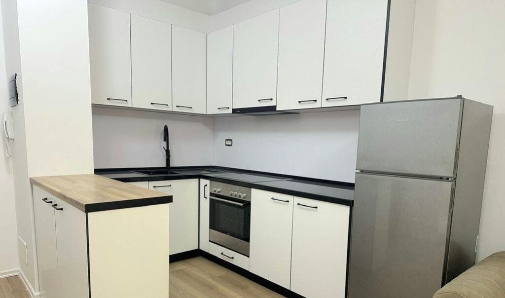 Zogu i Zi, appartamento 1+1 in affitto