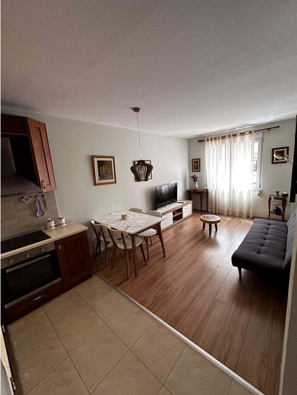 APPARTAMENTO 1+1 IN AFFITTO IN VIA BOGDANEVE