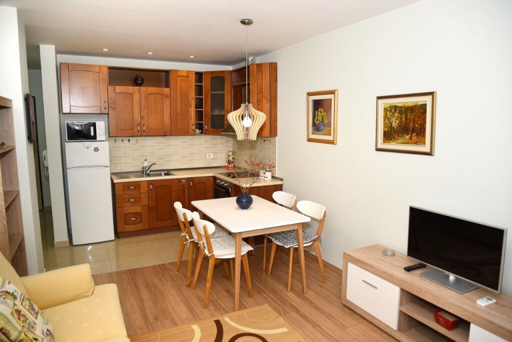 APPARTAMENTO 1+1 , VIA BOGDANEVE‼️