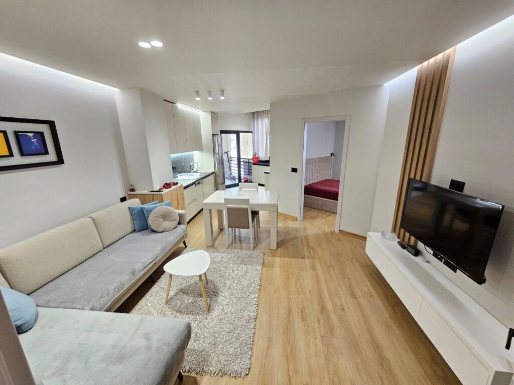 Apartment For Rent 1+1 In Vasil Shanto ( ID B2101504) Tirana