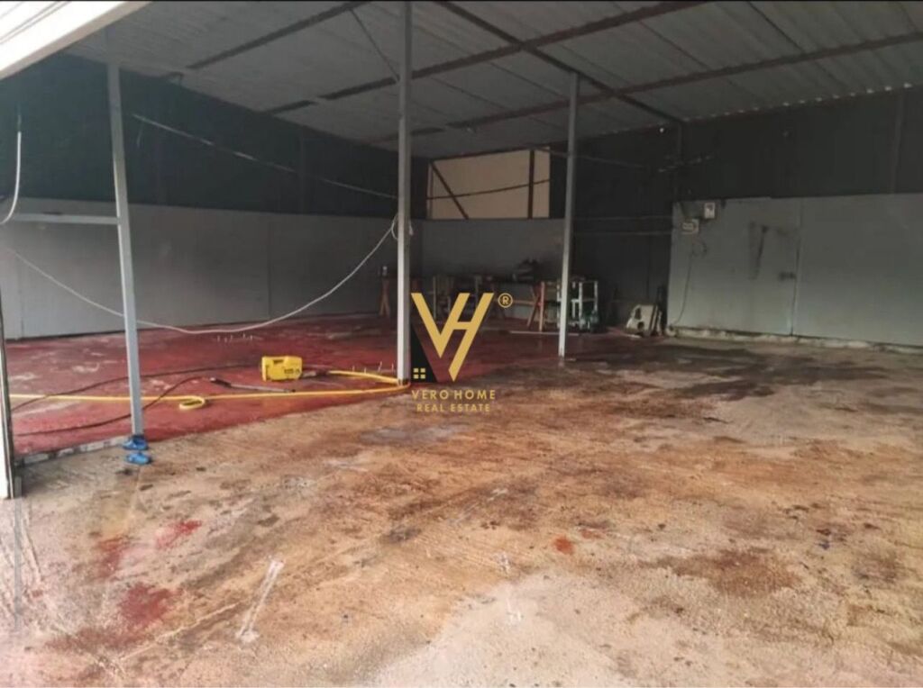 JEPET MAGAZINE 370 M2 ME QERA NE KOMBINAT 80.000 LEKE