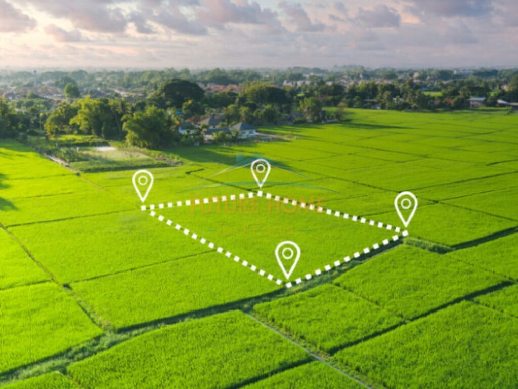 Qera, Tokë, Mbikalimi i Rinasit.