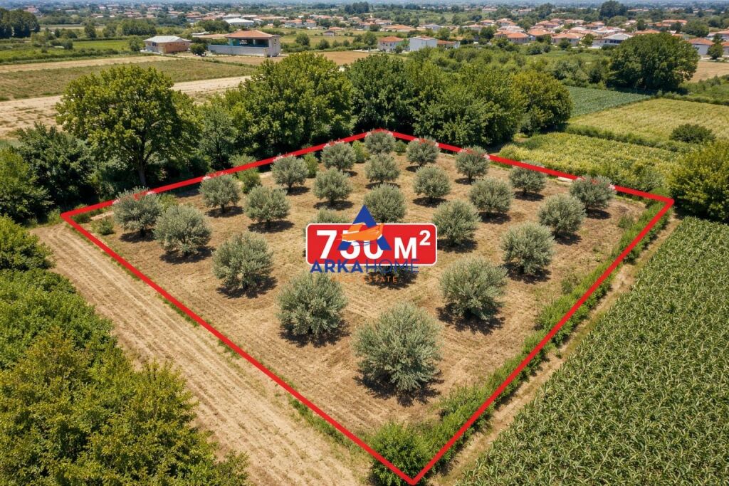 TOKË NË SHITJE 750M2 "RRUGA AULONA, FIER" 45,500 EURO