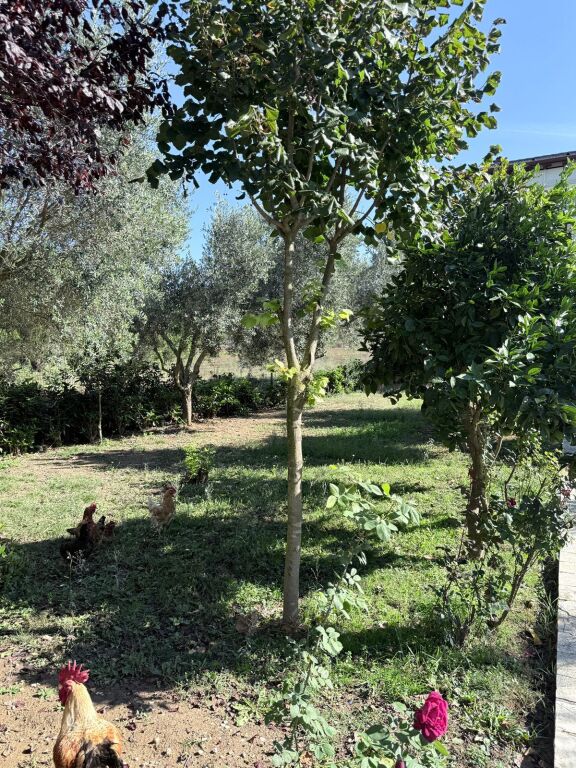 INDIVIDUAL VILLA FOR SALE IN THE LALZ BAY OPPOSITE MELIA RESORTS