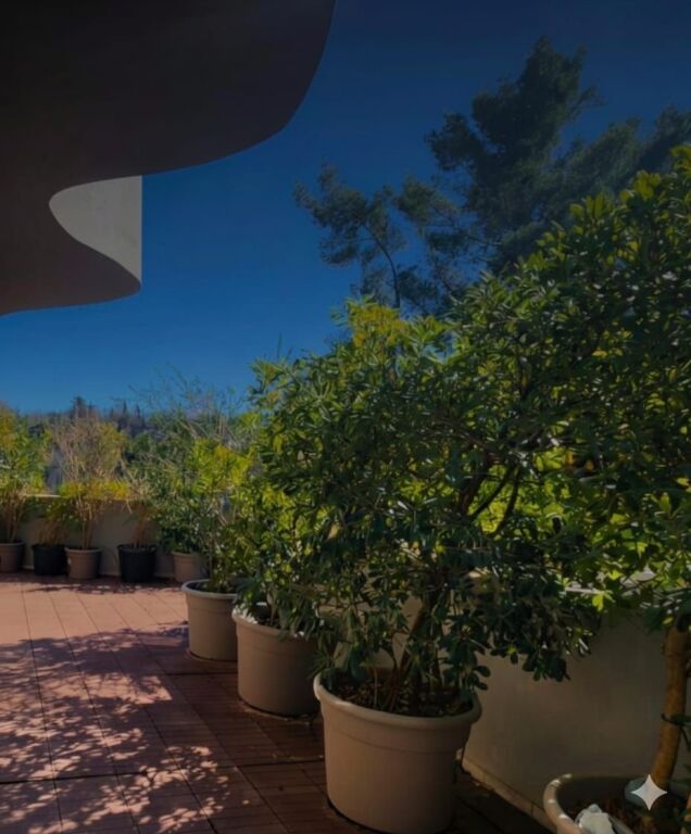 OFFICE SPACE FOR RENT NEAR AIR ALBANIA 179 M2