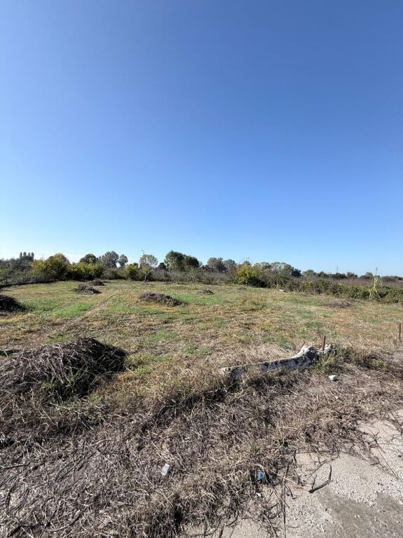 SHITET TOKE GJIRI LALEZIT VIJA PARE ME RRUGEN