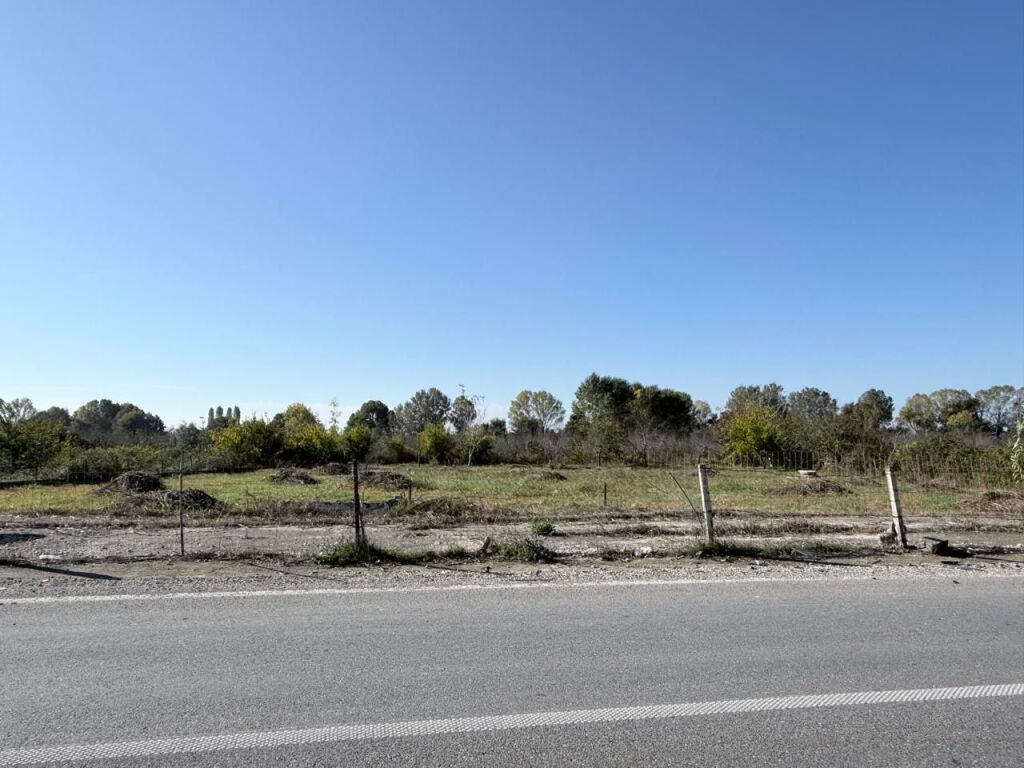 SHITET TOKE GJIRI LALEZIT VIJA PARE ME RRUGEN