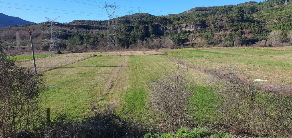 TOKE NE SHITJE, 1400 M2, Ibë e Poshtme, Tirane