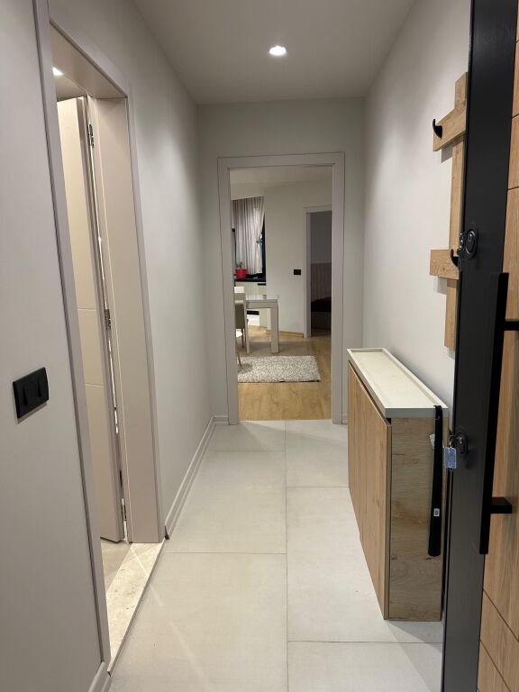 1+1, furnished near Dinamo stadium, 800 euros, and for Airbnb