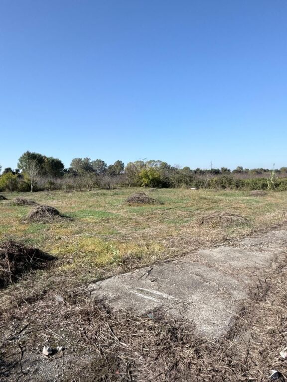 SHITET TOKE GJIRI LALEZIT VIJA PARE ME RRUGEN