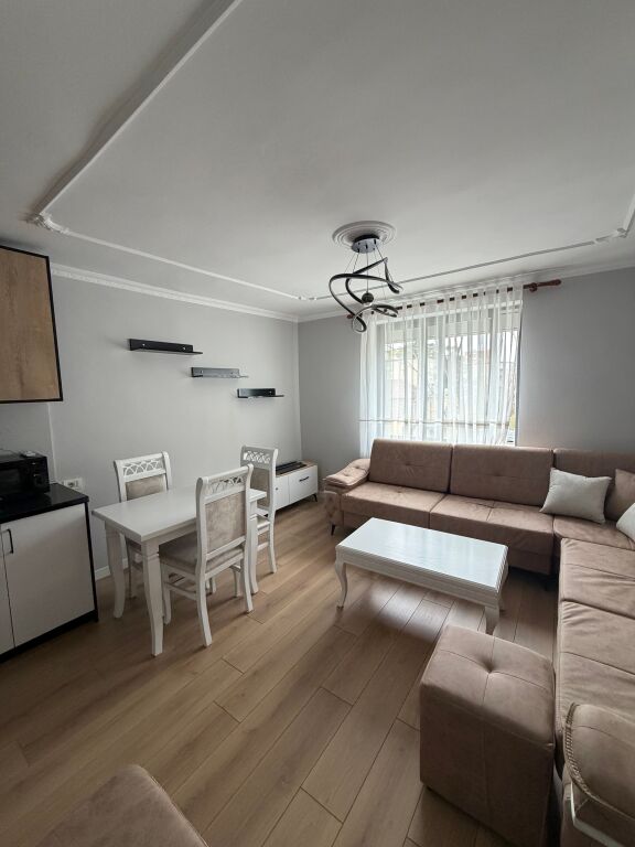 Rent, Apartment 1+1, 21 Dhjetori.