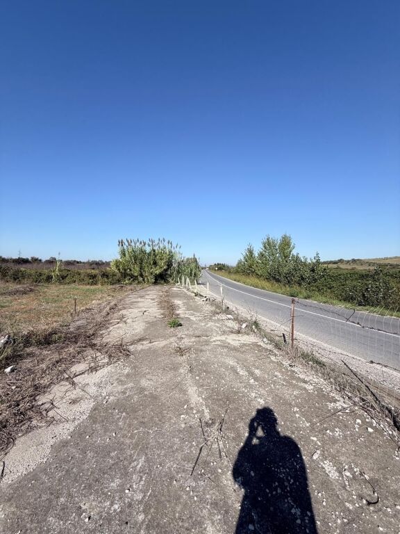 SHITET TOKE GJIRI LALEZIT VIJA PARE ME RRUGEN