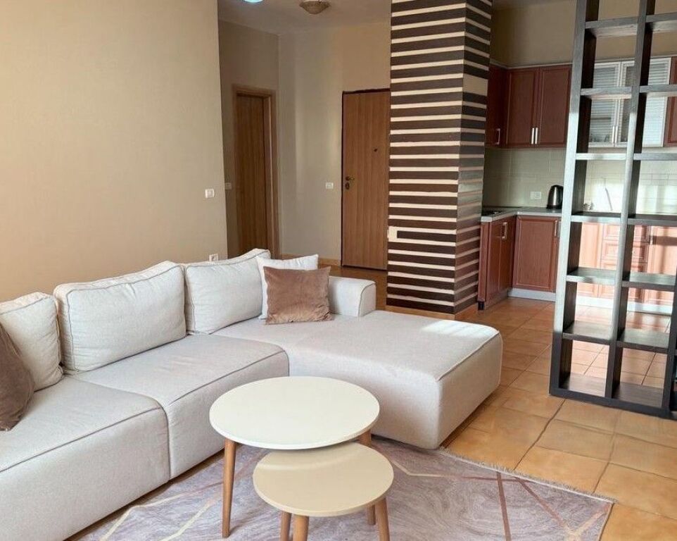 We rent out a 1+1 apartment with parking space, at "Rruga e Barrikadave", Tirana!
