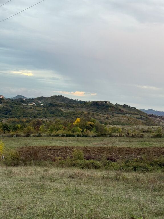 Terreno in vendita a Kashar 10000 m2