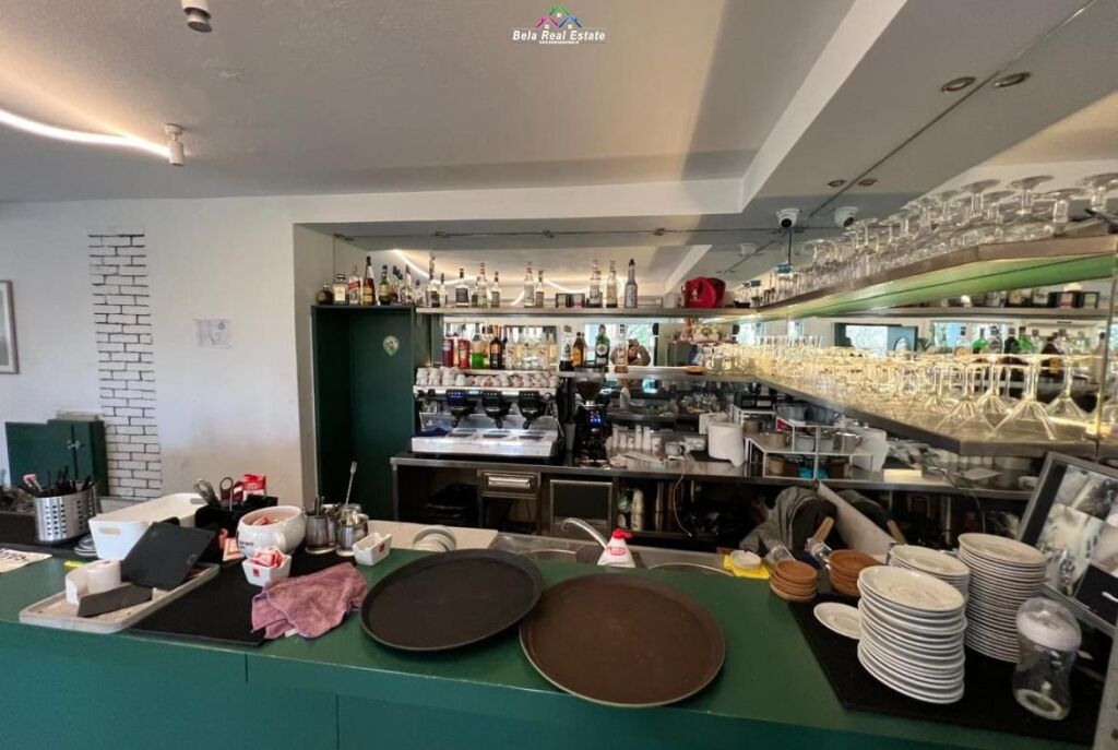 Lokal/Restorant Me Qera Tek Liqeni Artificial (ID BL265) Tirane