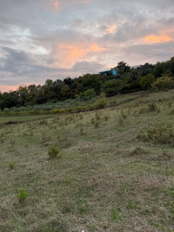 Terreno in vendita a Kashar 10000 m2