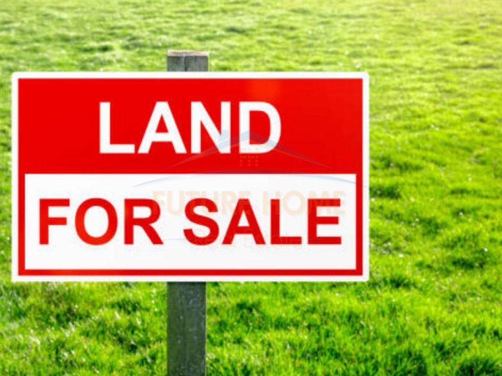 Shitet, Toke, Yzberisht