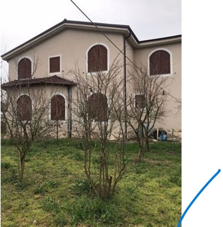 Shitet, Vile, Baldushk