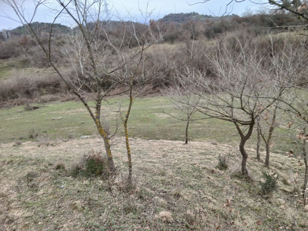 Terreno in vendita a Kashar