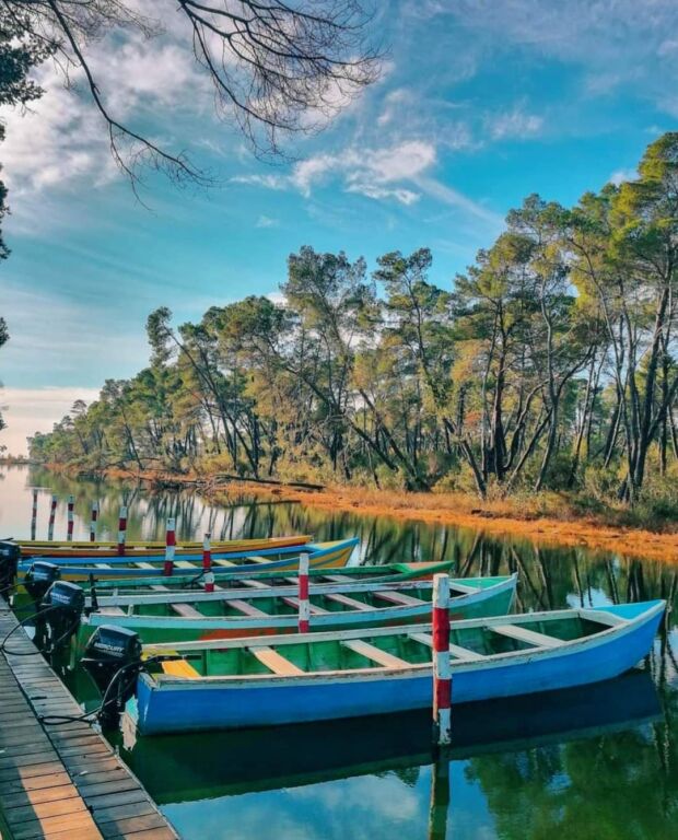 Hotel For Sale 📍 Divjakë