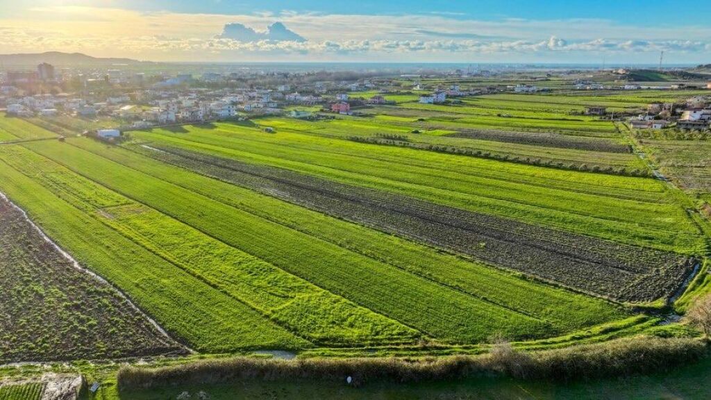 💥 OKAZION 💥Shitet toke afer ish-Fabrikes se Letres,Kavaje
