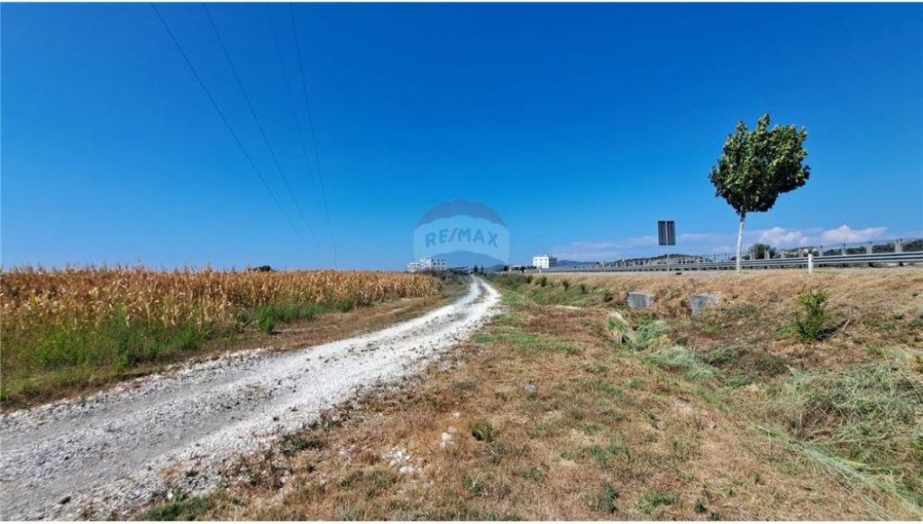 Toke ne shitje ne Autostraden Vlore-Fier,Fjortesi