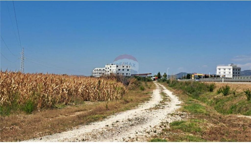 Toke ne shitje ne Autostraden Vlore-Fier,Fjortesi