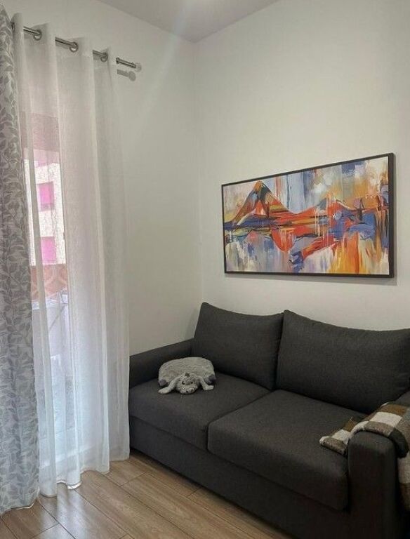 Apartment 1+1 For Rent in Ali Demi