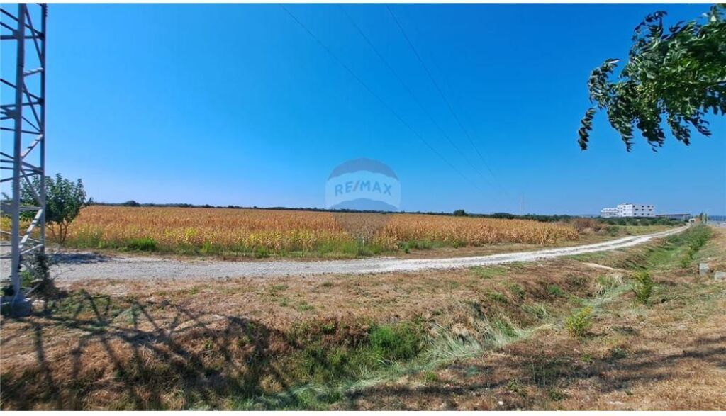 Toke ne shitje ne Autostraden Vlore-Fier,Fjortesi